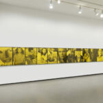 New Exhibition at the Vancouver Art Gallery Interrogates Extreme Beauty