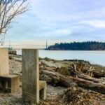 One Day North Shore Public Art Trail