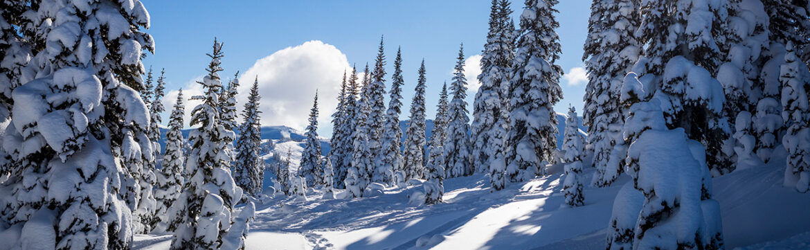 Whistler Artists on Finding Inspiration Outdoors