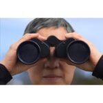 The View From Here at SFU Gallery