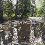 “Looking at Local Nature” by Erik Hotz