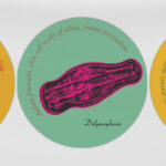 Art in Transit: WANDER by Laiwan