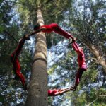 10 Local Dance Companies That Inspire Us to Move