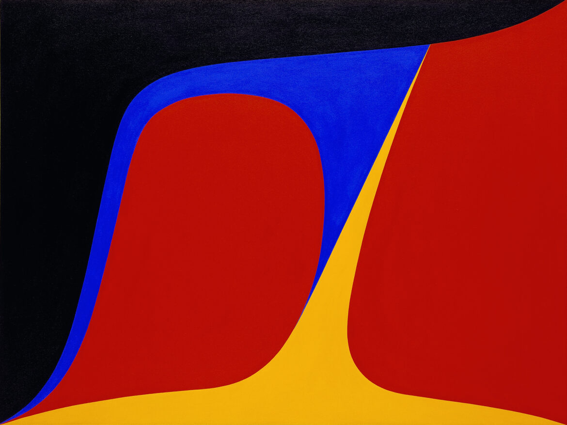 DAVIDSON-04 ‘A Line That Bends But Does Not Break’, On Now at The VAG