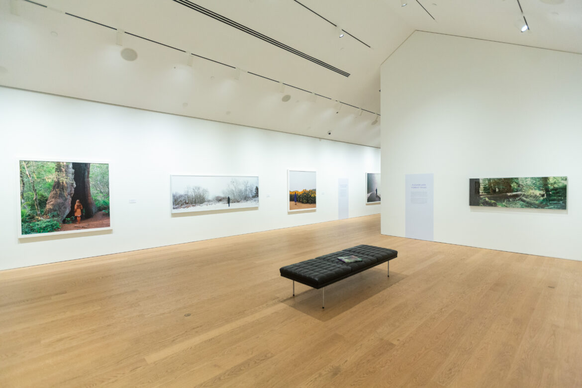 7 – Installation View A Vividness in Bubaš’ Garden of Shadows