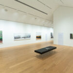 A Vividness in Bubaš’ Garden of Shadows