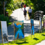 August Art and Culture Events