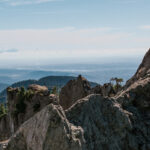 Celebrate the North Shore’s Mountains at MONOVA