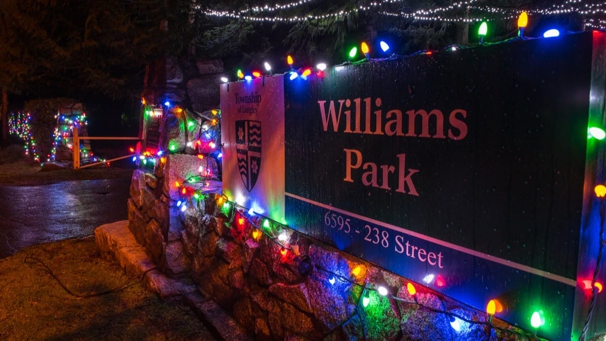 Holiday Lights in Williams Park