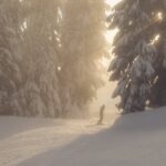 Finding Artistic Inspiration Through Winter