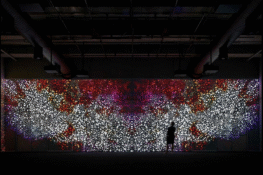 Photo Credit: Daniel Boyd, History is Made at Night, installation view, 2013. Photo: Zan Wimberley. Courtesy of the artist, Carriageworks, and Roslyn Oxley 9 Gallery, Sydney.