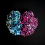 Alzheimer’s in Perspective: How Geoffrey Bird’s Photography Finds Finds Hope in Fading Identities