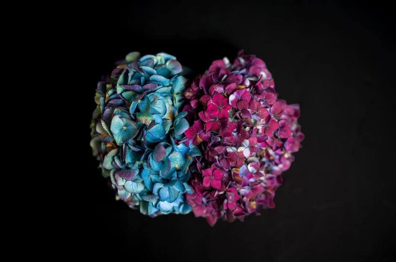 Stolen — Flowers for My Wife | Geoffrey Bird