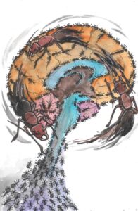 Credit: kattakind.com | “Resilient Bodies: Beauty Despite Disease - ADHD” 