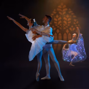 We call it Ballet: Sleeping Beauty in a Dazzling Light Show