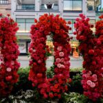 December 2025 Arts & Culture Events