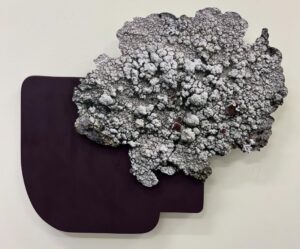 Fei Disbrow: The Familiar Unfamiliar