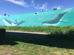 Connected Oceans - Todd Polich (2014)