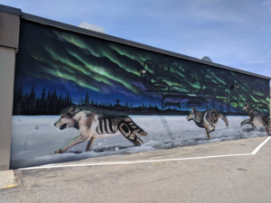 Indigenous Wolves - Daniel Fernandez and Corey Bulpitt (2018) 