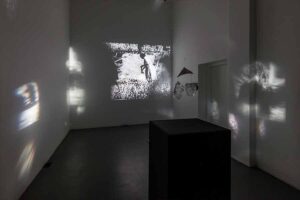 Tania Willard: Photolithics