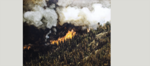 The Structure of Smoke