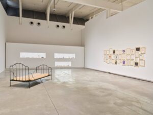 Jana Sterbak: Dimensions of Intimacy
