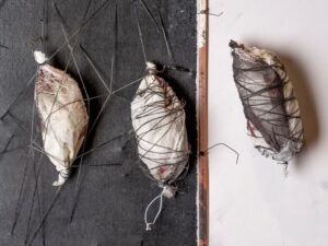 DIS – displaced, dispersed, dispossessed